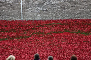 Blood Swept Lands and Seas of Red, Tower of London, 2014.