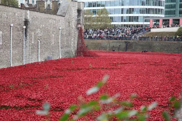 Blood Swept Lands and Seas of Red, Tower of London, 2014.