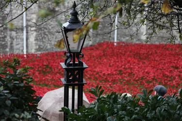 Blood Swept Lands and Seas of Red, Tower of London, 2014.
