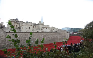 Blood Swept Lands and Seas of Red, Tower of London, 2014.