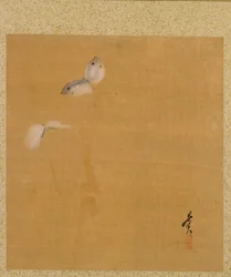Leaf från Album of Seasonal Themes: Maple Leaves and Feather, 1847.