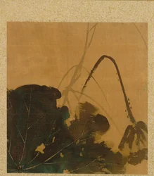 Lotus från Album of Paintings av den ärevördiga Zeshin