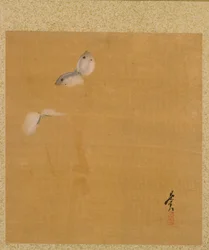 Moths från Album of Paintings av den ärevördiga Zeshin