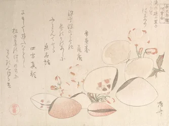 Körsbärsblommor och skal, 1800-talet., 1800-talet.