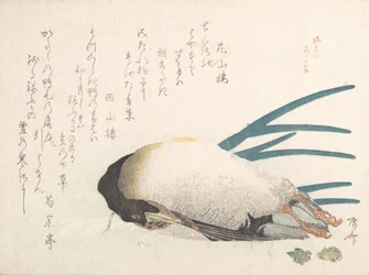 Spring Rain Collection Harusame shu, vol. 1: Anka och salladslök, 1810-talet, 1810-talet.