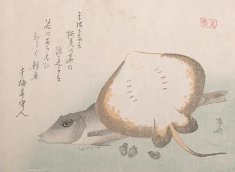 Stingray och Gurnard, troligen 1815., troligen 1815.