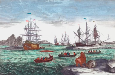 Valfångstflotta utanför Grönland på 1700-talet (gravyr)