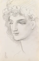 Studie av ett kranshuvud, 1867