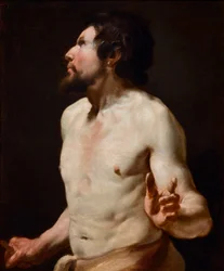 Studie av torso Målning från Simon Vouets skola (1590-1649) (målning)