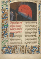 Phristinus hus