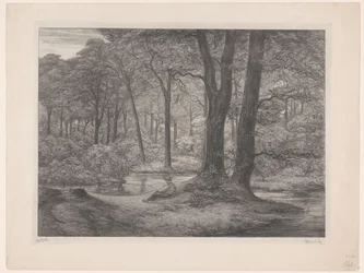 Skog med damm och liggande man Teutoburgerskogen (skogsvy) (originaltitel)