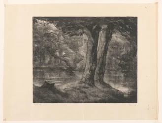 Vatten i en skog Forest View (originaltitel)