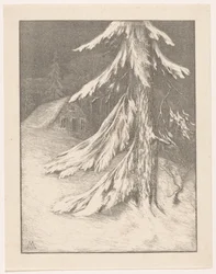 Gran i snölandskap Winter (originaltitel)