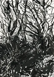 Ham Common Woods (bläck och grafit på papper)