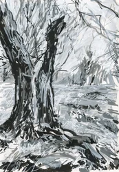 Old tree, Richmond Park (akrylfärgpennor och bläck på papper)