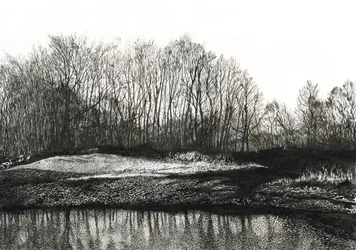 Bestånd av björkar, Burying Hill Beach (bläck på papper)