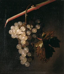 En klase av druvor som hänger framför en stenmur, 1709
