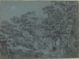 I Haagskogen
