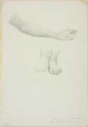 Arm and Feet, studie för Mirror of Venus