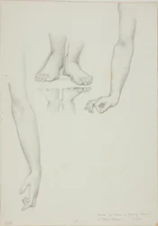 Studie för Mirror of Venus: Arms and Feet of Venus