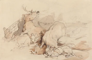 Hundar och jägare som attackerar rådjur