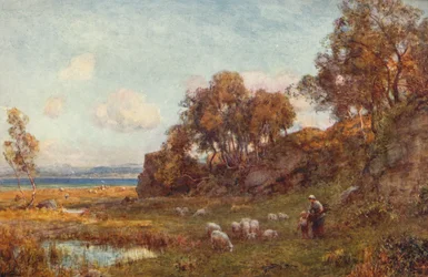 Skyddade betesmarker, c1900