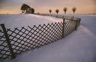 En vikingagrav i snön nära Elverhoej, Danmark i vintersnön. 2022 (foto)