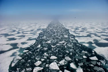 Arktiskt landskap i Hinlopen-sundet, Norge, 2022 (foto)