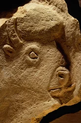 Bas-Relief Sculpture of a Bison, kalkstenen är sexton tusen år gammal.