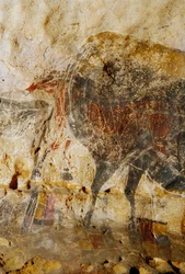 Detalj av graverad målning av hästhuvuden, Lascaux.