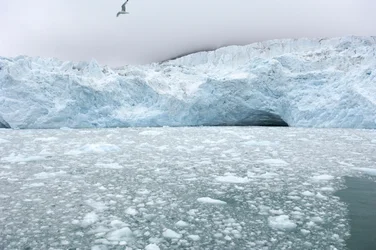 Isklumpar från närliggande glaciärer flyter i Arktiska havet, Svalbardöarna, Norge, 2022 (foto)