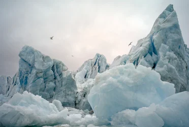 Isberg i Arktiska havet runt ön Spetsbergen, Norge, 2022 (foto)