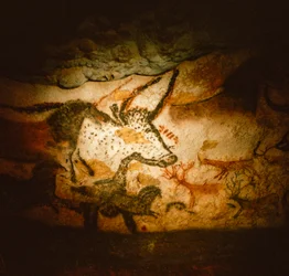 Målning av ett tjurhuvud i tjurens kammare, Lascaux-grottan