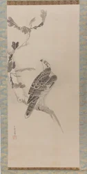 Hawks Taka zu, mitten av 1600-talet.