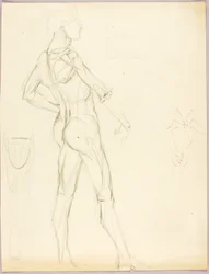 Anatomisk studie