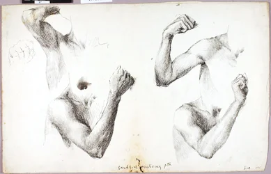 Four Arm Studies, #1