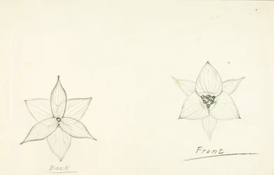 Blommans ramverk