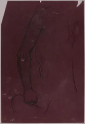 Torso, studie till ryttarmonument