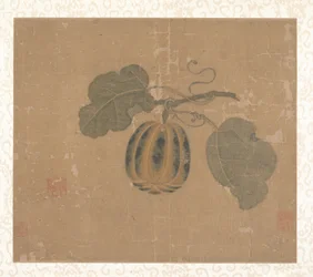 Squash (albumblad; tusch och färg på siden)