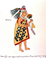 Aztekisk präst i Codex Vaticanus 3738 (Codex Vat. Rios). Faksimil av manuskriptet av dominikanen Pedro de los Rios, mellan 1570 och 1589, Bibl. Vatikanen.