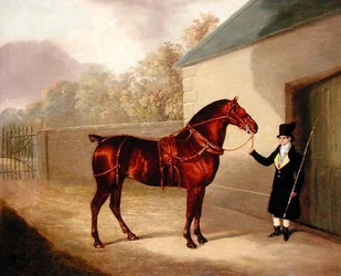 Exteriörvy, påbörjad 1720 (foto)