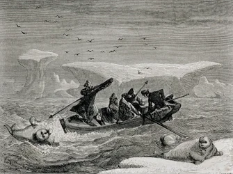 Jaga valross med harpuner på Spetsbergen, Svalbards skärgård, illustration från 