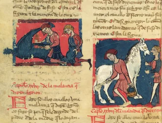 Ms 214 fol.38r Behandla en häst med skabb, från Libro de Menescalcia y Albeyteria av Juan Alvarez, ca 1390