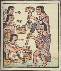 Fru Palat. 218-220 En aztekisk fest, från den florentinska kodeksen av Bernardino de Sahagun, ca 1540-85