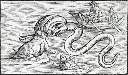 Sjömonster, 1511