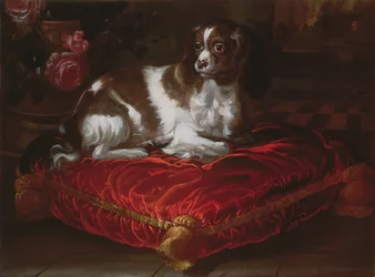 Spaniel på en kudde