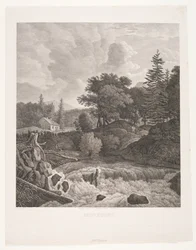 Skogshuset