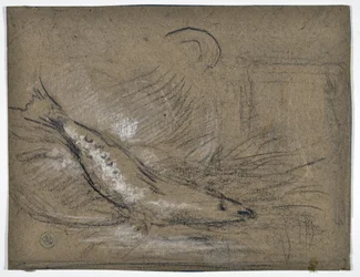 Fiskstudie (ritning)