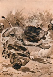 "Som lejonet laddade", 1902, 1903