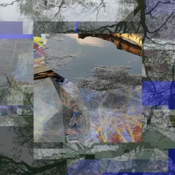 Reflektion av ett splittrat träd